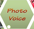 Photo Voice